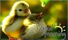 दूसरी खबर के दर्शकों को सुप्रभात दूसरी खबर के दर्शकों को सुप्रभात