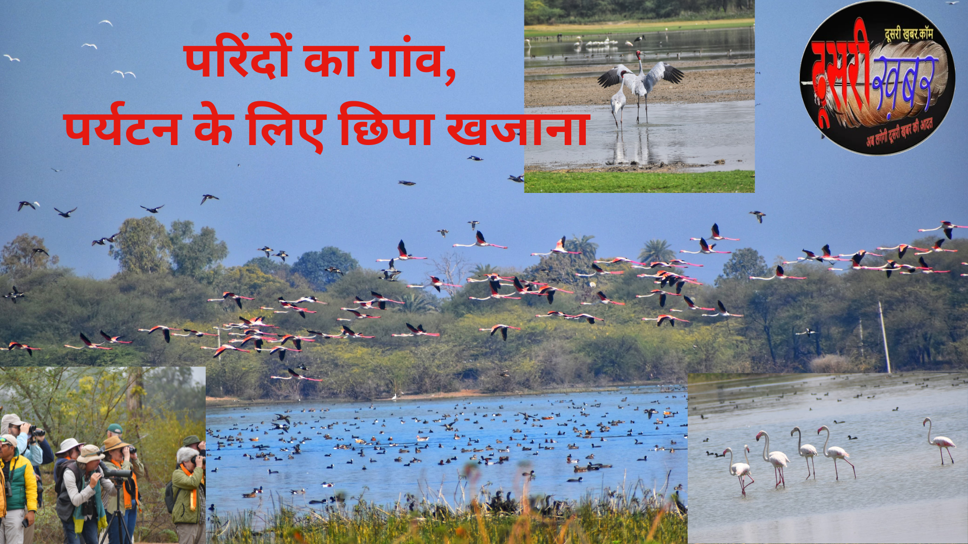 परिंदों का गांव राजस्थान में, क्या आप जानते हैं?