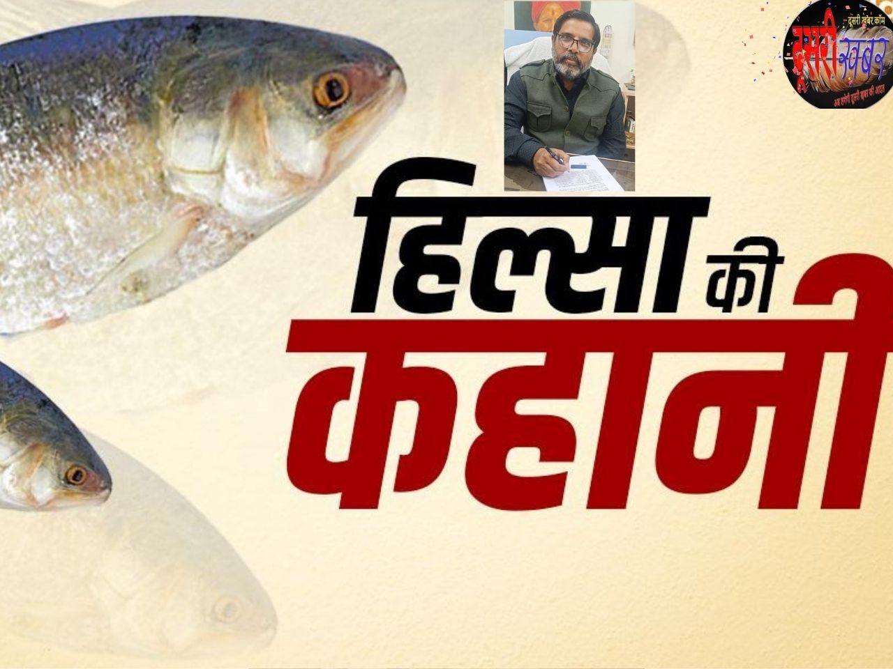 हिल्सा मछली किवदंती या सच…