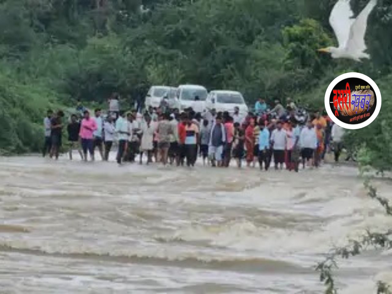 तेज पानी के बहाव में राजस्थान रोडवेज की बस बही, चालक… तेज पानी के बहाव में राजस्थान रोडवेज की बस बही, चालक…