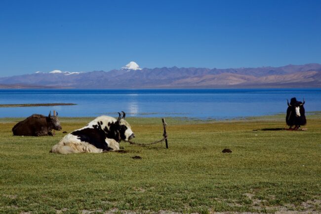 Kailash Mansarovar Lake