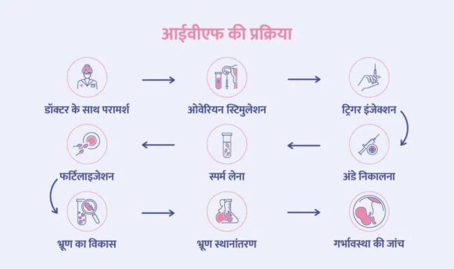 IVF step by Step