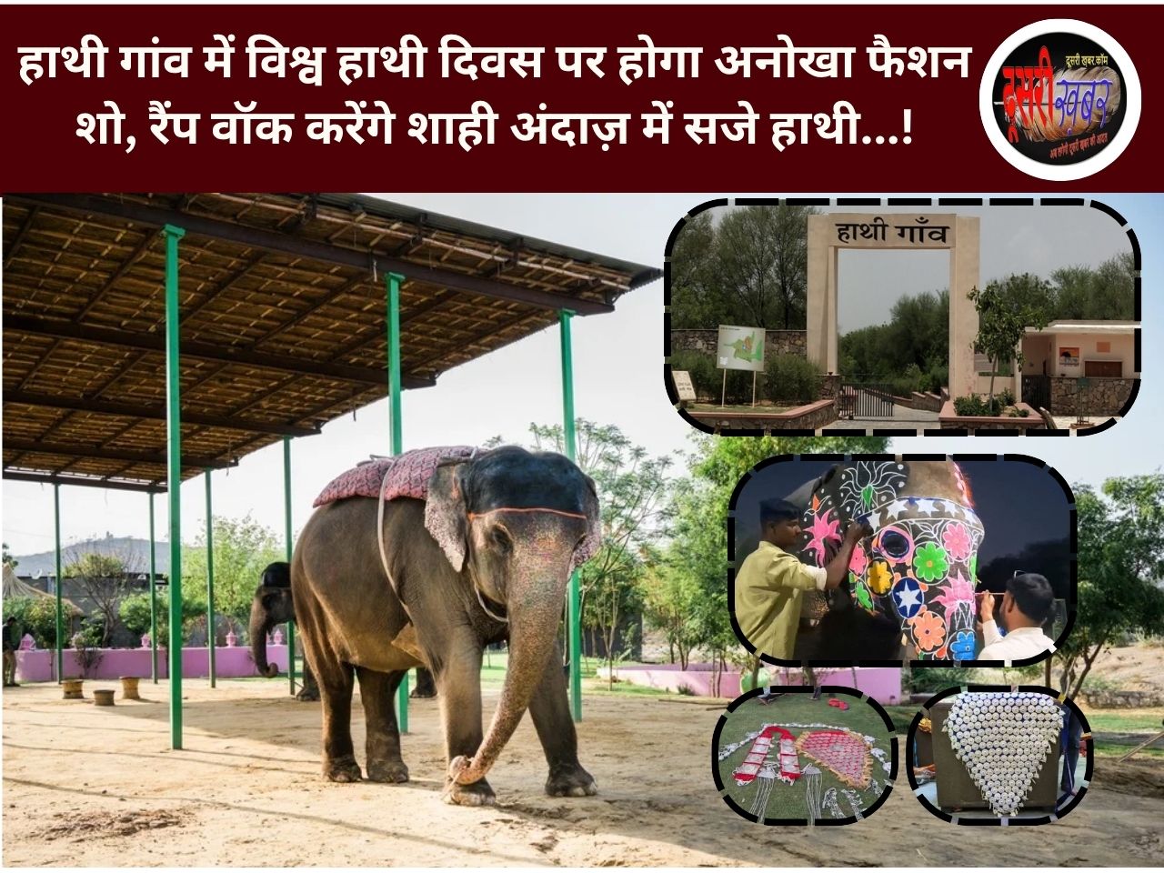हाथी गांव में विश्व हाथी दिवस पर होगा अनोखा फैशन शो, रैंप वॉक करेंगे शाही अंदाज़ में सजे हाथी…!