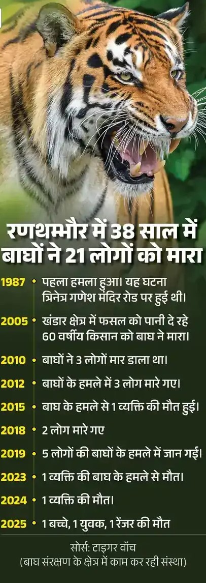 सवाई माधोपुर में टाइगर का शिकार