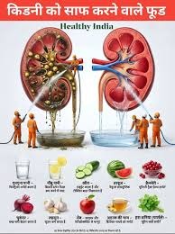 किडनी को कैसे रखें सुरक्षित, प्रोटीन पाउडर और किडनी में संतुलन जरूरी