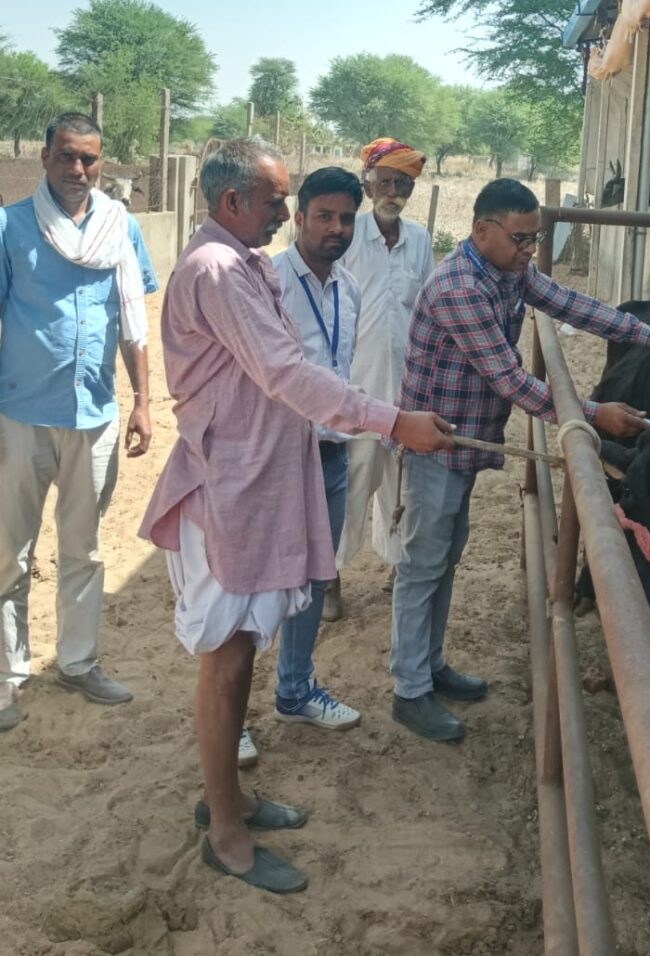 खुरपका-मुंहपका टीकाकरण अभियान का 7वां चरण 16मार्च से 15 मई तक...