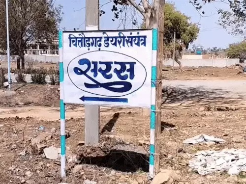 चित्तौड़गढ़ सरस डेयरी प्लांट 
