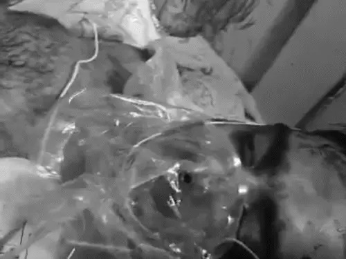 कॉकपिट में चाकू से हमला, विमान तेजी से नीचे गिरा… फिर भारतीय कप्तान ने दिखाई हिम्मत; 174 यात्रियों की बची जान! पढ़िए कैसे घटित हुआ पूरा घटनाक्रम...